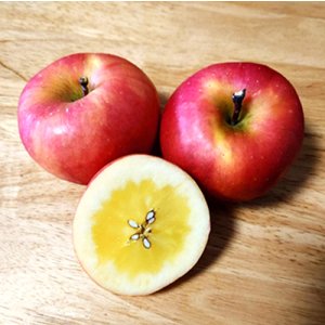 画像1: 葉とらず高徳/2.5kg