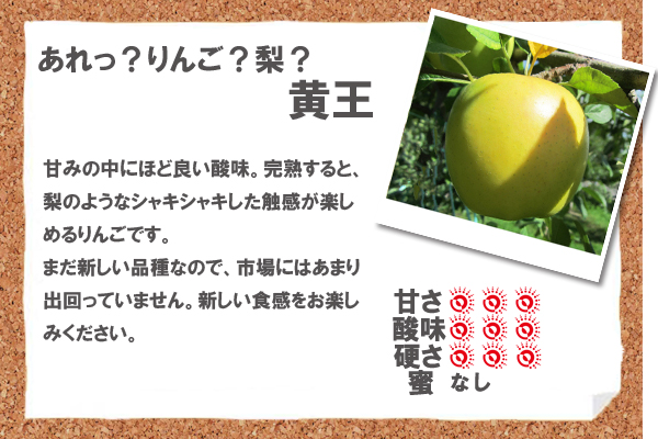 あれっ？りんご？梨？黄王　甘みの中にほど良い酸味。完熟すると、梨のようなシャキシャキした触感が楽しめるりんごです。まだ新しい品種なので、市場にはあまり出回っていません。新しい食感をお楽しみください。