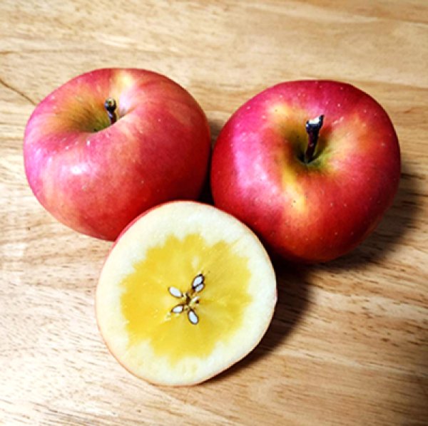 画像1: 葉とらず高徳/2.5kg (1)